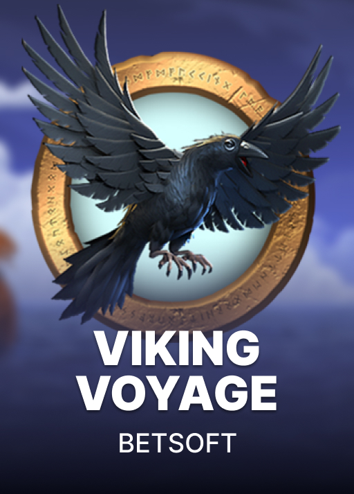 Viking Voyage