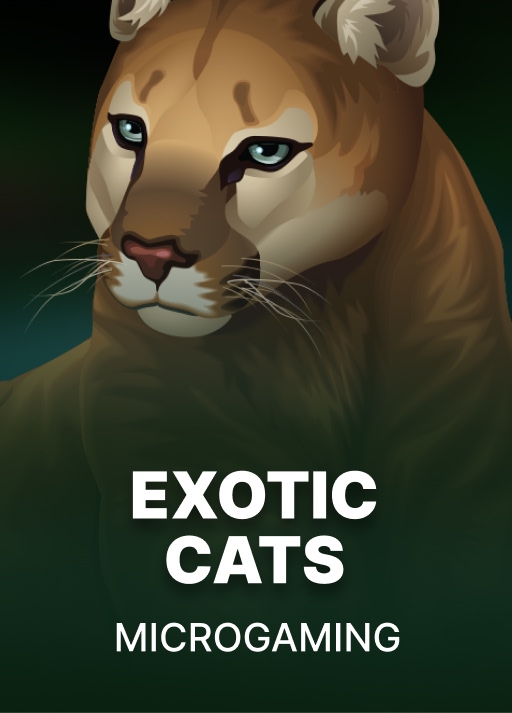 Exotic Cats