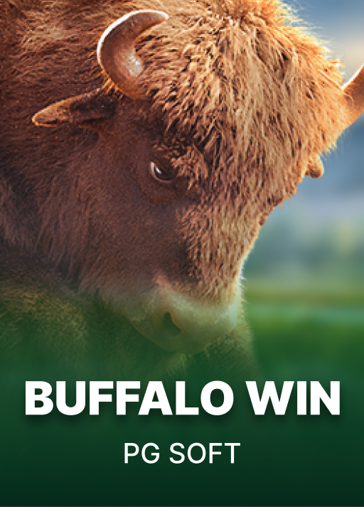 Buffalo Win