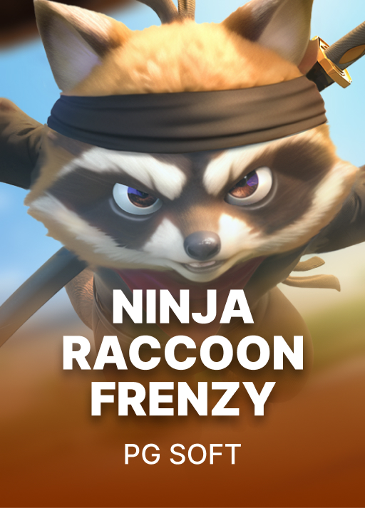 Ninja Raccoon Frenzy