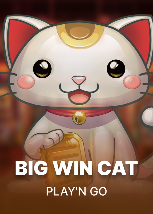 Big Win Cat