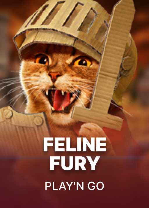 Feline Fury