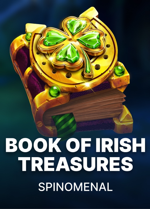 Book Of Irish Treasures