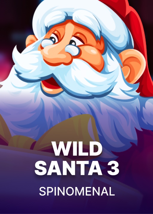 Wild Santa 3