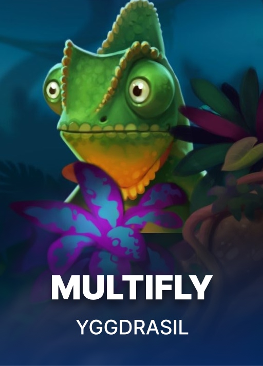 MultiFly!