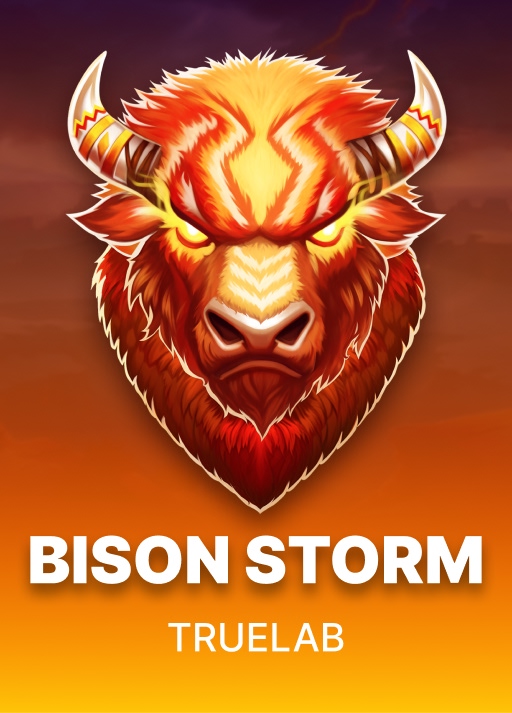 Bison Storm