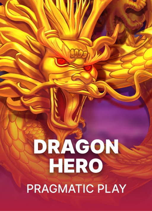 Dragon Hero